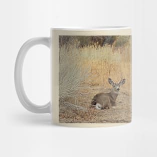 Deer, Wildlife, Mule Deer, Buck, Nature, Gifts Mug